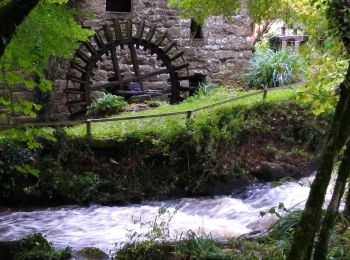 Trail Walking Saint-Brandan - Au bois de Perche. - Photo