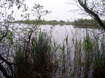 Tocht Stappen Carcans - CARCANS  ET ETANG DE COUSSEAU - Photo