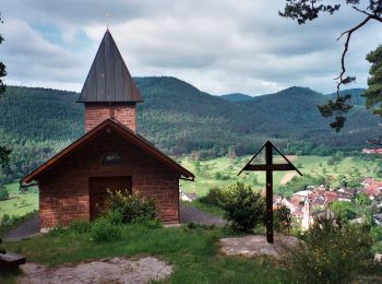 Excursión A pie Birkenhördt - Birkenhördter Mösigweg - Photo