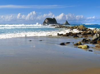 Tocht Te voet  - Te Araroa - 01 Northland - k Bream Tail to Mangawhai Heads - Photo