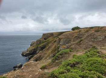 Excursión Senderismo Locmaria - port coter pointe Saint marc - Photo