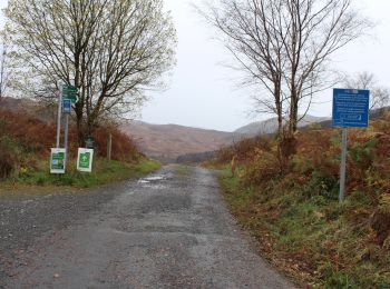 Tour Zu Fuß  - Merrick Trail - Photo