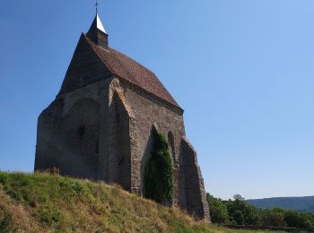 Randonnée Marche Verlin - Verlin 230625 - Photo