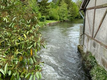 Tocht sport Arpajon - Sob bourreau sur juive - Photo