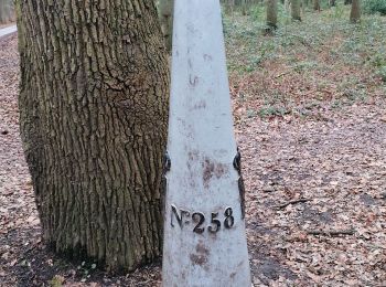 Randonnée Marche Berg-op-Zoom - GR12 Bergen op Zoom naar Kapellen - Photo