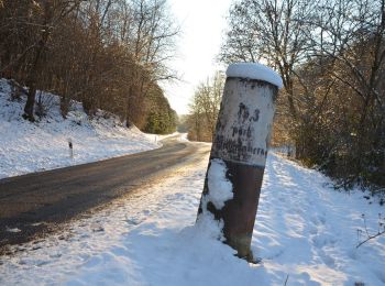 Randonnée A pied Schwanheim - Oberschlettenbacher Höhenweg - Photo