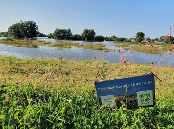 Percorso A piedi 's-Hertogenbosch - Loop- en wandelroute Maaspoort - Photo