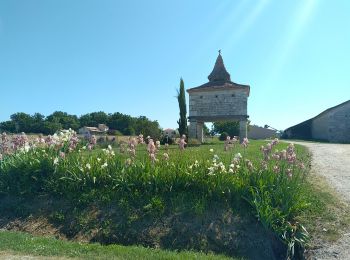 Randonnée Vélo électrique Molières - Molières 11 05 2022 - Photo