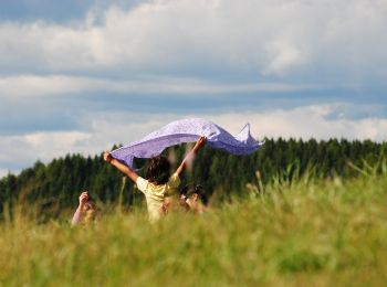 Percorso A piedi Valbrenta - Sannazara - Photo