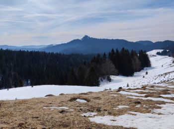 Tour Schneeschuhwandern La Pesse - la pesse - Photo