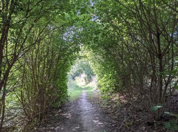 Randonnée A pied Blankenburg - Harzklub-Weg 50J - Photo