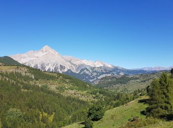 Trail On foot Cesana Torinese - IT-620 - Photo