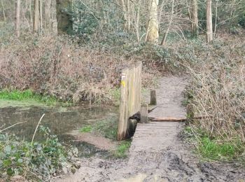 Tour Wandern Châtenay-Malabry - CREPS et verriere - Photo