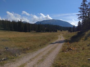 Tocht Mountainbike Saint-Agnan-en-Vercors - Pré Peyret depuis la Coche - Photo