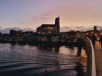 Randonnée Marche Vernon - Les falaises de Seine de Vernon à Mantes la Jolie - Photo