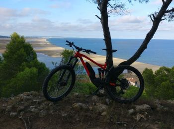 Trail Mountain bike Leucate - tour du plateau leucate la franqui - Photo