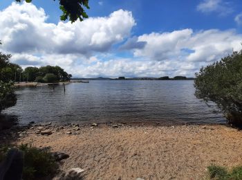 Tour Wandern Commana - lac du Drennec - Brennilis - Photo