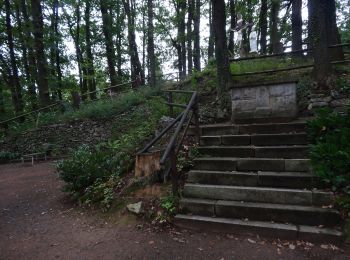 Randonnée A pied Uder - Wanderweg von Uder nach Lutter (Grünes X) - Photo