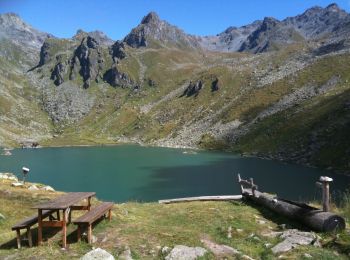 Tour Zu Fuß Val de Bagnes - Louvie-Fionnay - Photo