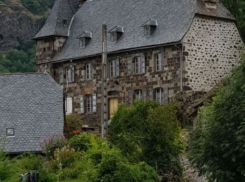 Excursión Senderismo Thiézac - Circuit de La Goutte - Photo