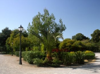 Trail On foot Vilanova i la Geltrú - Camí de Vilanova a Sitges - Photo