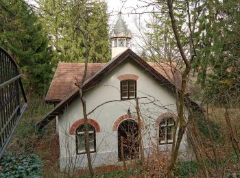 Randonnée A pied Gemeinde Bad Sauerbrunn - Bad Sauerbrunn (Gesundheitszentrum) - Mitterriegel - Rosalia Kamm-Wanderweg - Photo