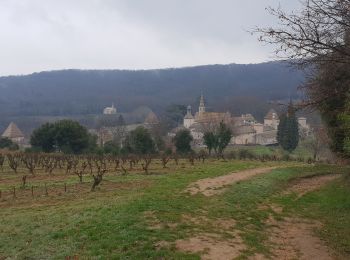 Tocht Stappen Saint-Laurent-de-Carnols - la chartreuse de valbonne - Photo