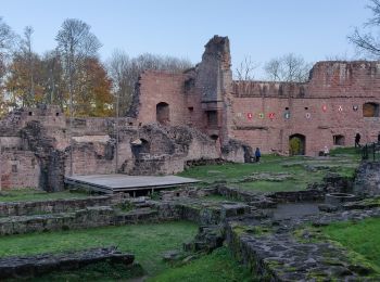 Tocht Stappen Wangenbourg-Engenthal - 2019-11-16 Marche Wangenbourg Castelberg - Photo