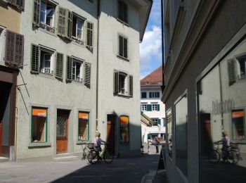 Trail On foot Baden - Baden - Spittelau - Photo