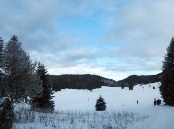 Randonnée Raquettes à neige Saint-Martin-en-Vercors - Herbouilly - Photo