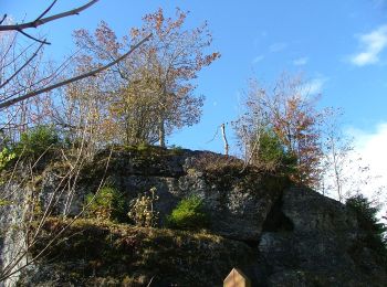 Percorso A piedi Durach - Durach: Geotopweg Dengelstein - Photo