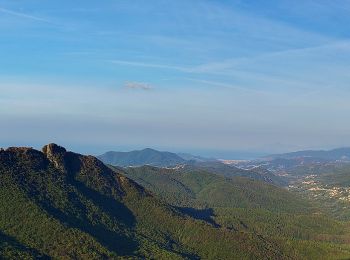 Tour Zu Fuß Castiglione Chiavarese - Missano - Monte San Nicolao - Photo