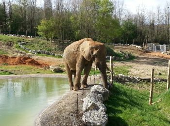 Tour Wandern Saint-Aignan - Beauval - 5 km 60m 2h20 - 2017 04 01  - Photo