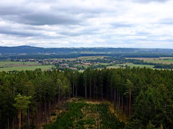 Percorso A piedi Trstěnice - NS Cech sv. Víta - Photo