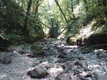 Trail Walking Ornans - bonnevaux le bas  - Photo