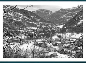 Tocht Te voet Vallouise-Pelvoux - Boucle de Pelvoux - Photo