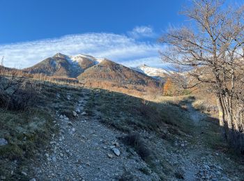 Randonnée Marche Sauze - Mont St Honorât  - Photo