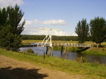 Tocht Te voet Ommen - Wandelnetwerk Vechtdal - groene route - Photo