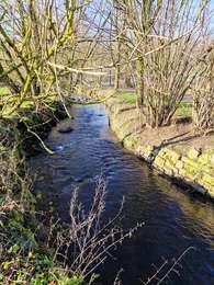 Trail Walking Olne - Balade de la Magne à Olno   - Photo