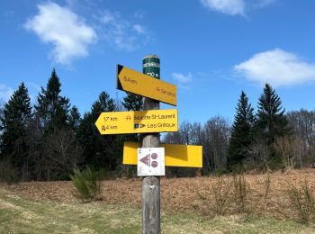 Tour Wandern Beulotte-Saint-Laurent - Beulotte Saint Laurent - Photo