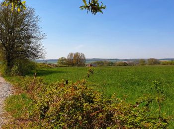 Randonnée Marche Mettet - La promenade du Planois à Biesme - Photo