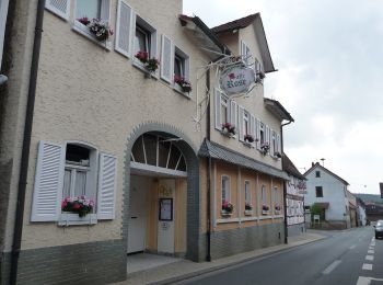 Percorso A piedi Hofheim am Taunus - Rund um Wildsachsen - Photo