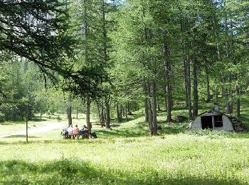 Randonnée Marche Le Petit Jardin - #1 Queyras 3j étape 2 Lac de Roue - Cabane du plan vallon - Photo