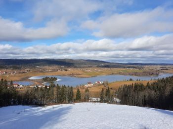 Tocht Stappen Grande-Rivière-Château - Belvédère du lac de l'abbaye - Photo