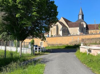 Randonnée Marche Saint-Germain-des-Grois - Marche 05062021 - Photo