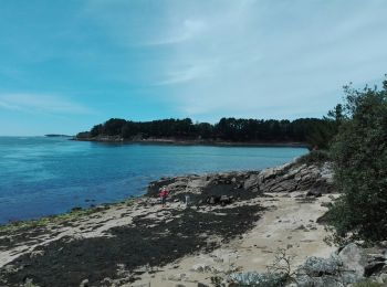 Excursión Senderismo Larmor-Baden - ile de Berder - Photo