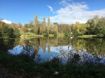 Excursión Senderismo Messimy-sur-Saône - Messimy - Messimy (Ain) - Photo