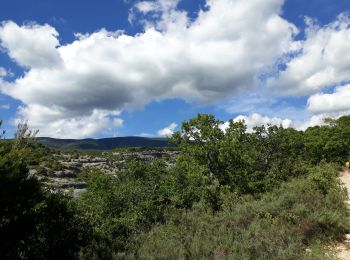 Percorso Marcia Bédoin - Sud Ventoux et Combe de Curnier  - Photo