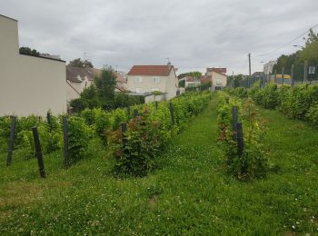 Randonnée Marche Bagneux - Bagneux  - Photo