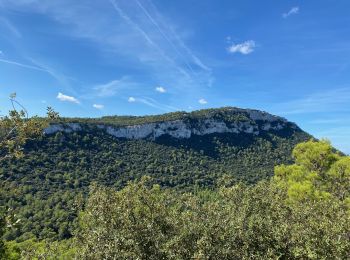 Tocht Stappen Esporles - GR221 # Esporles - Valldemossa - Deià - Photo